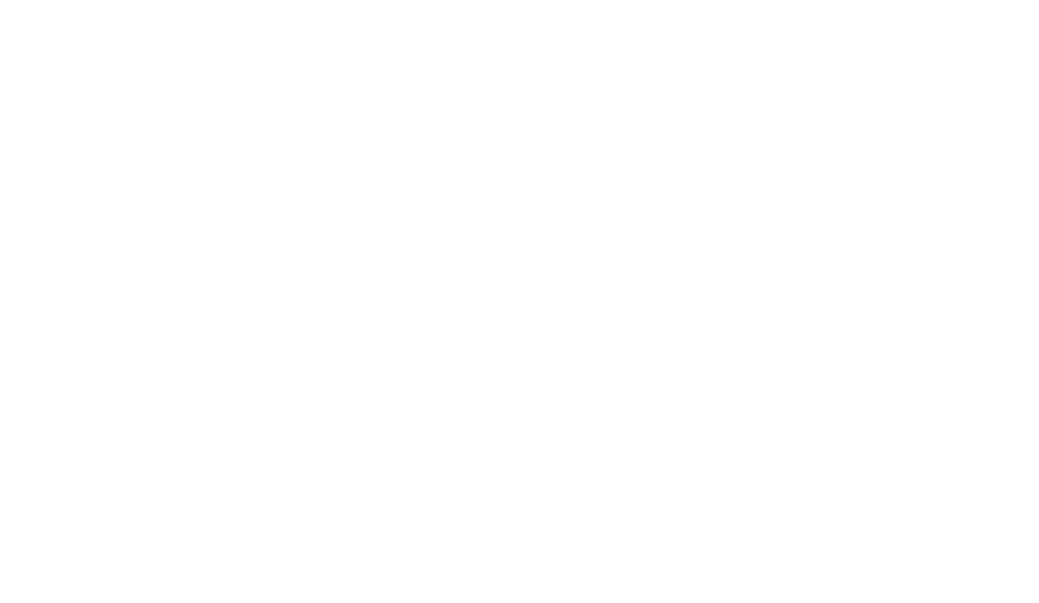 Patrik-Naim-logo-marca-d_agua-preto.png